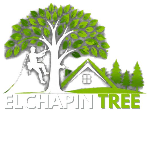 El Chapin Tree Service & Landscaping